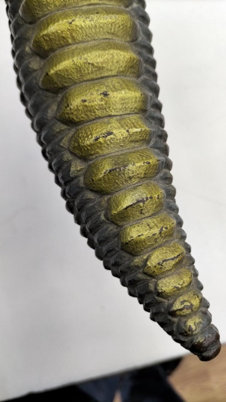 キズ、塗装ハゲ