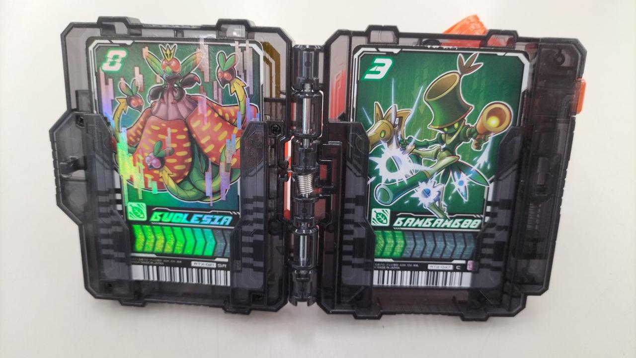 ケミーカードはこの2枚のみです。