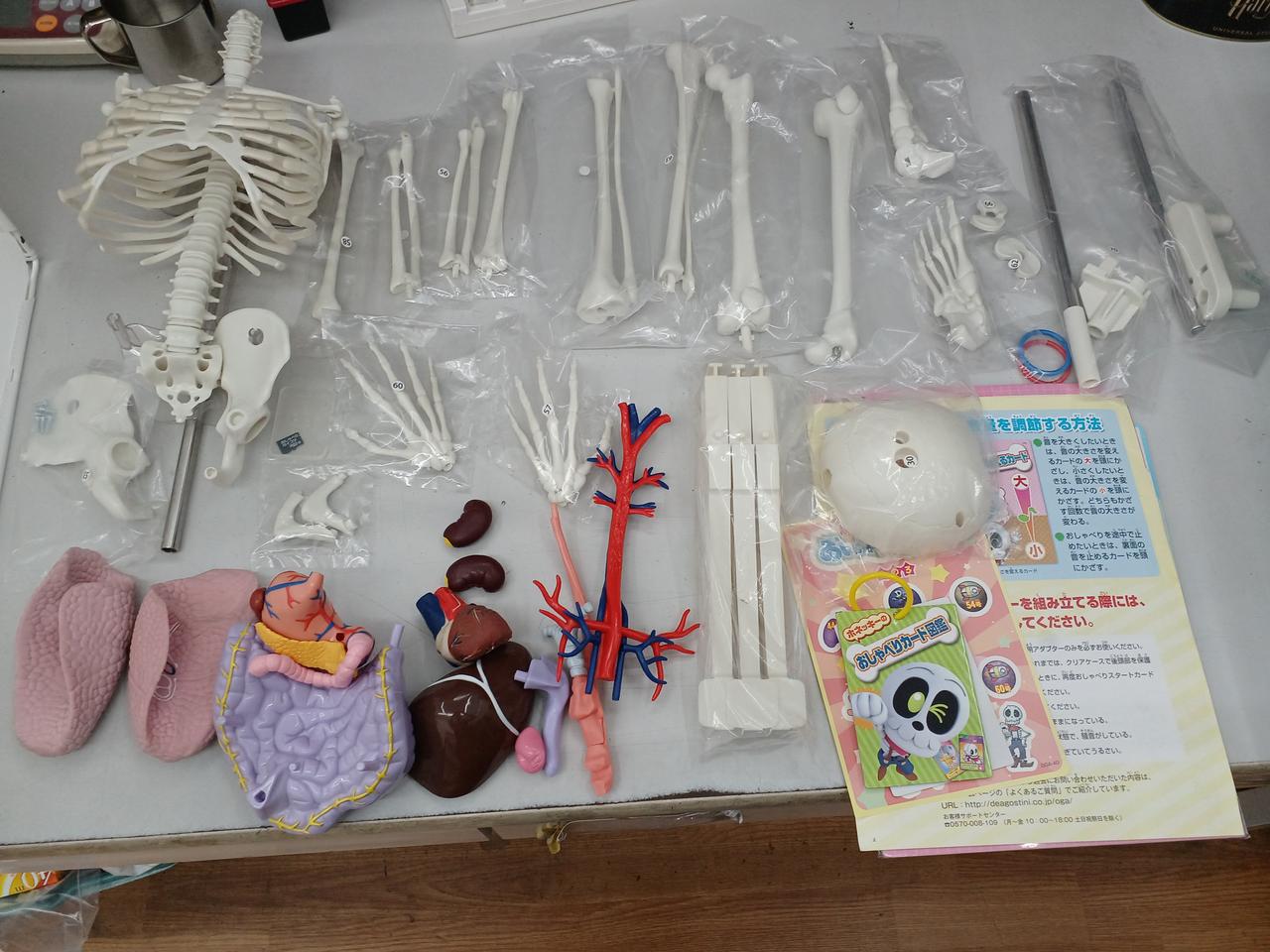 パーツはスカーフ以外揃っています。