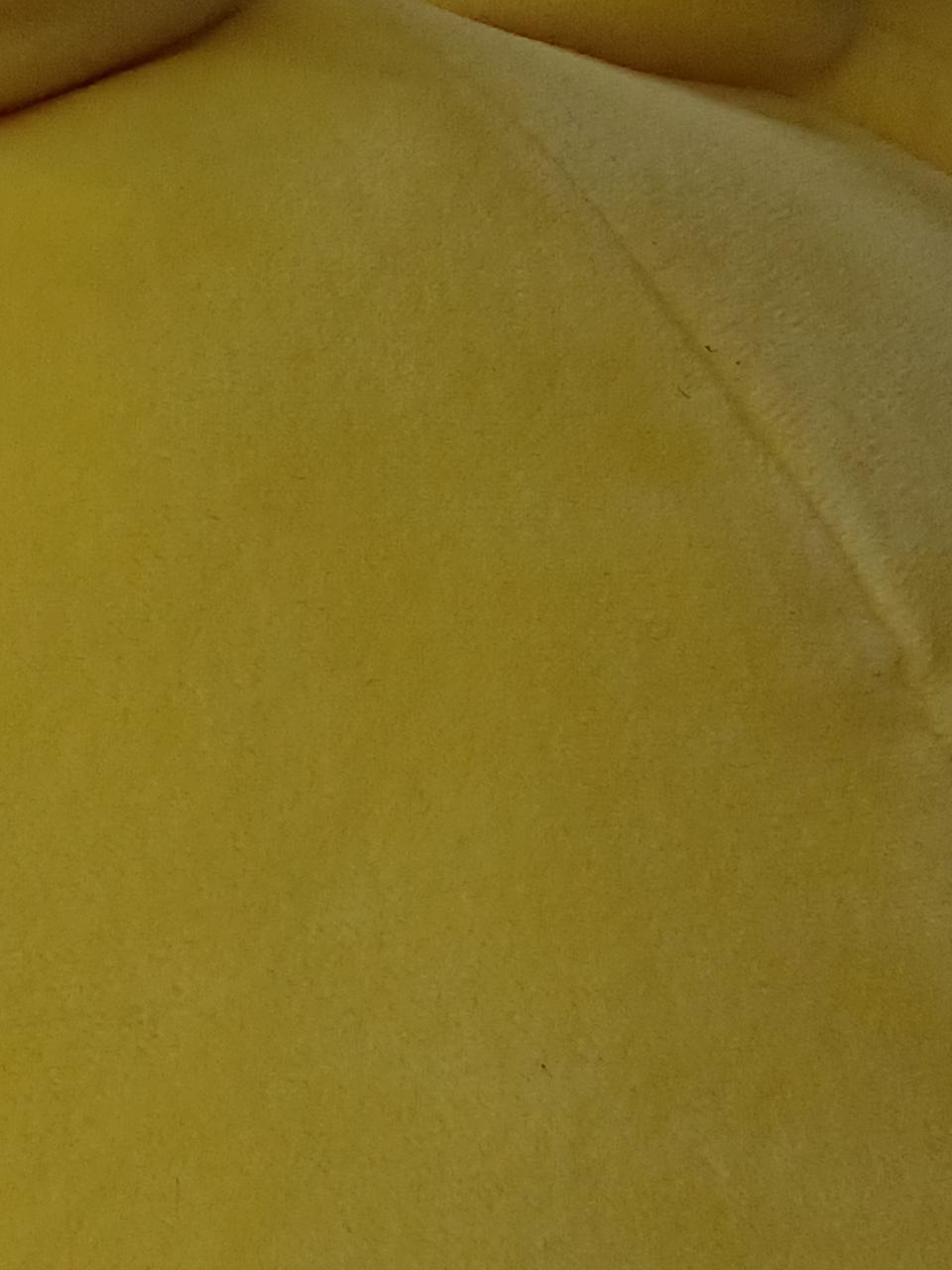 微細な埃