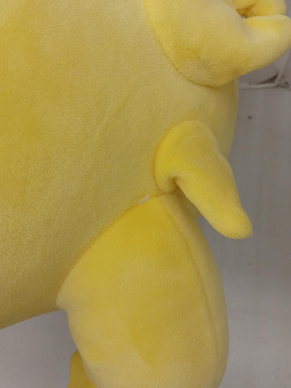 ワタ抜け?