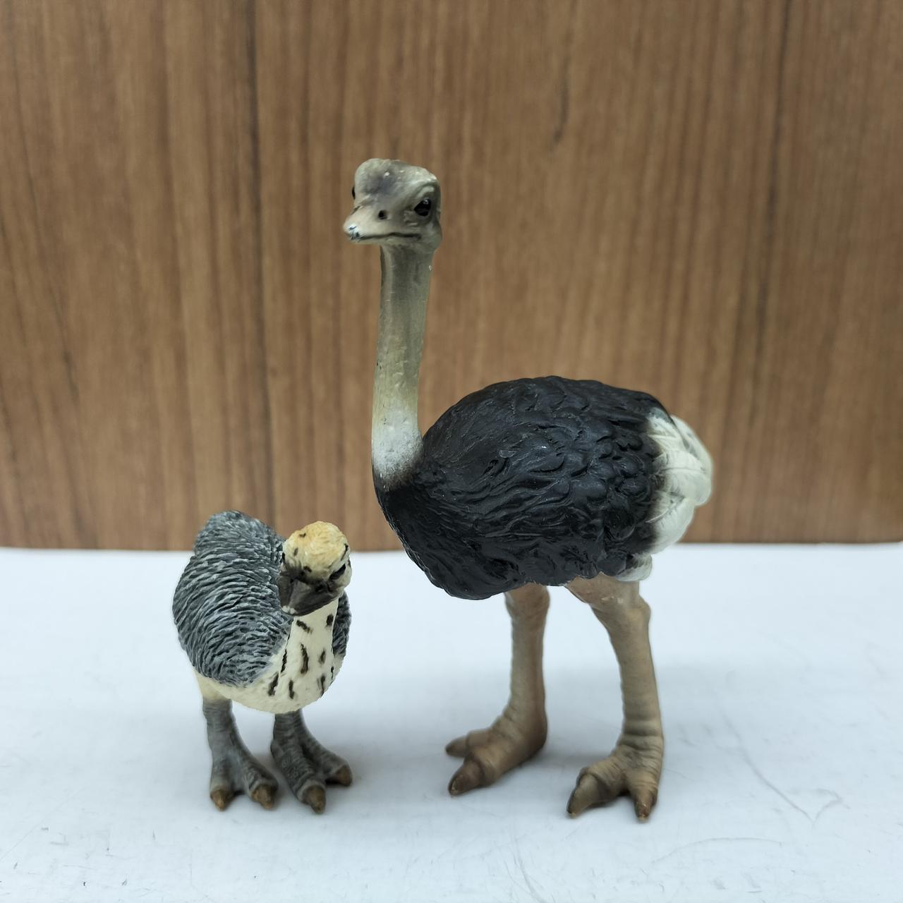 オストハイマー　ダチョウ親子 オストハイマー ダチョウ親子 （オストハイマー ダチョウ | 国立