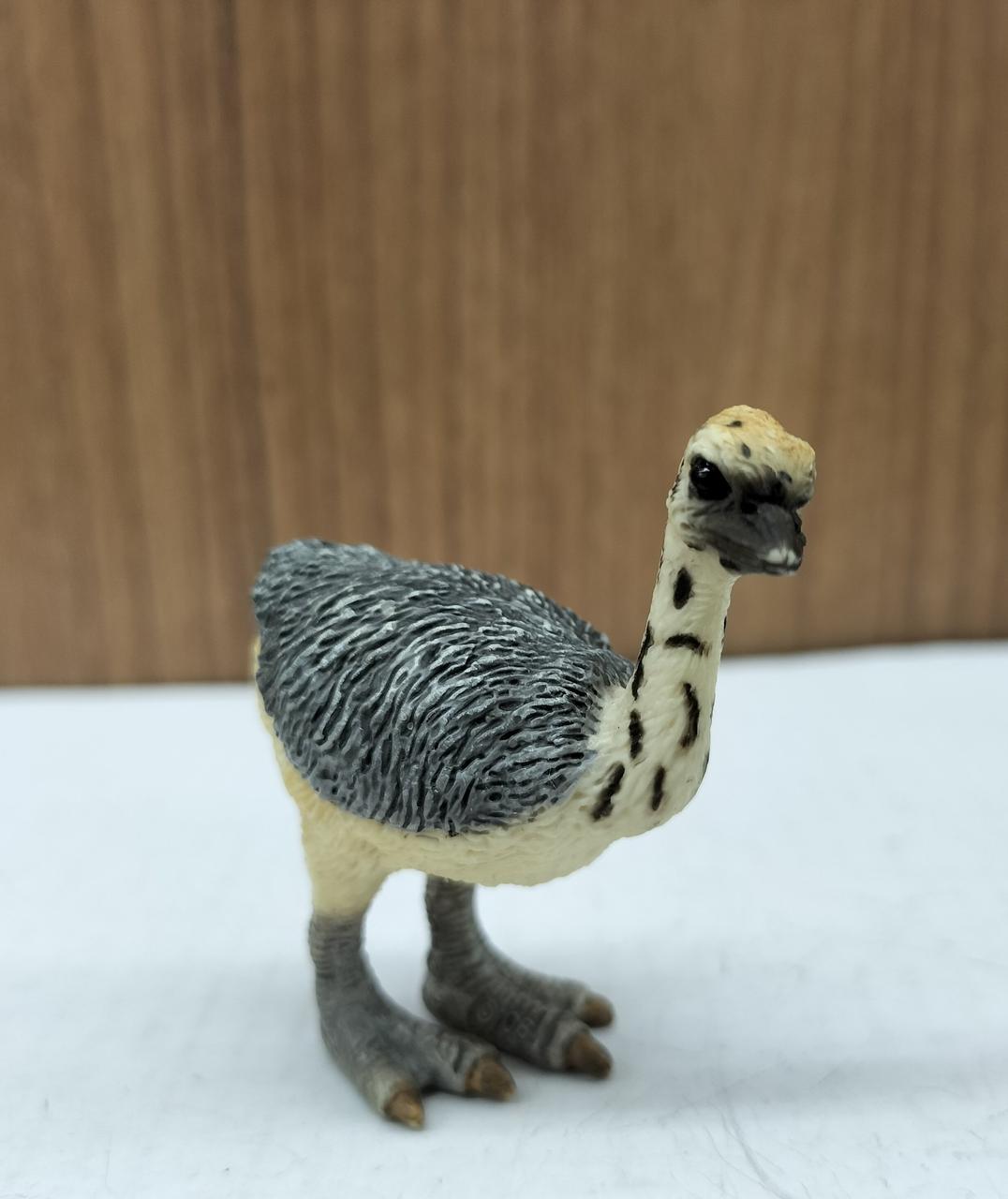 オストハイマー ダチョウ親子 オストハイマー ダチョウ親子