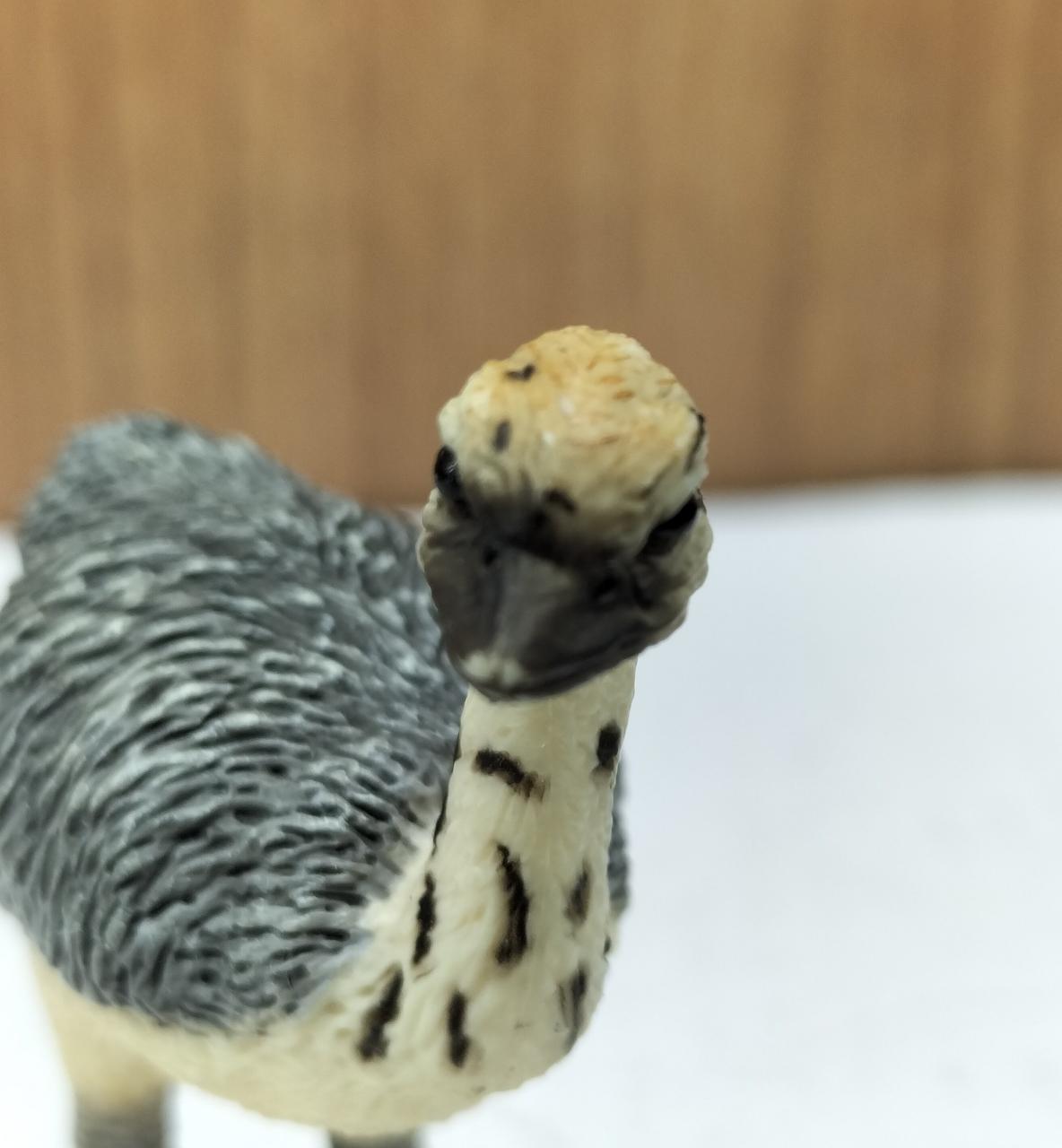 シュライヒ|ダチョウ親子|HARDOFFオフモール（オフモ