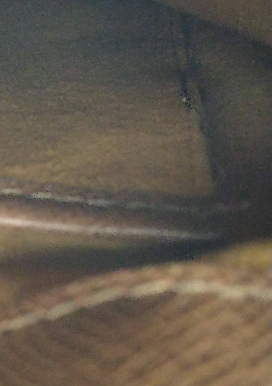 内部ポケットホツレ有ります。