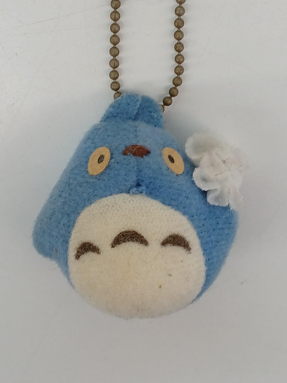 白目部分変色あり