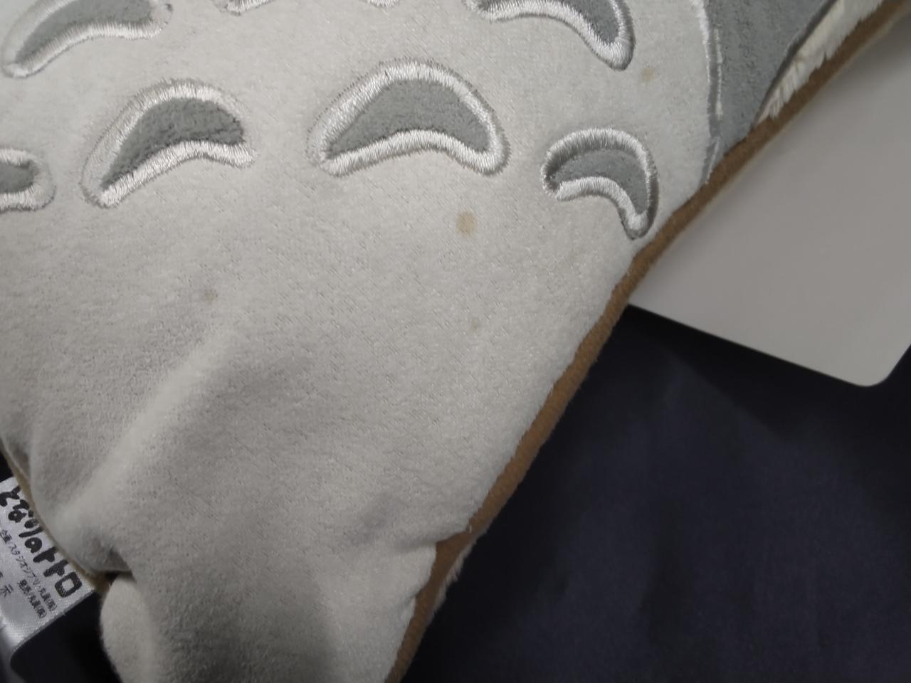 表地一部シミあり