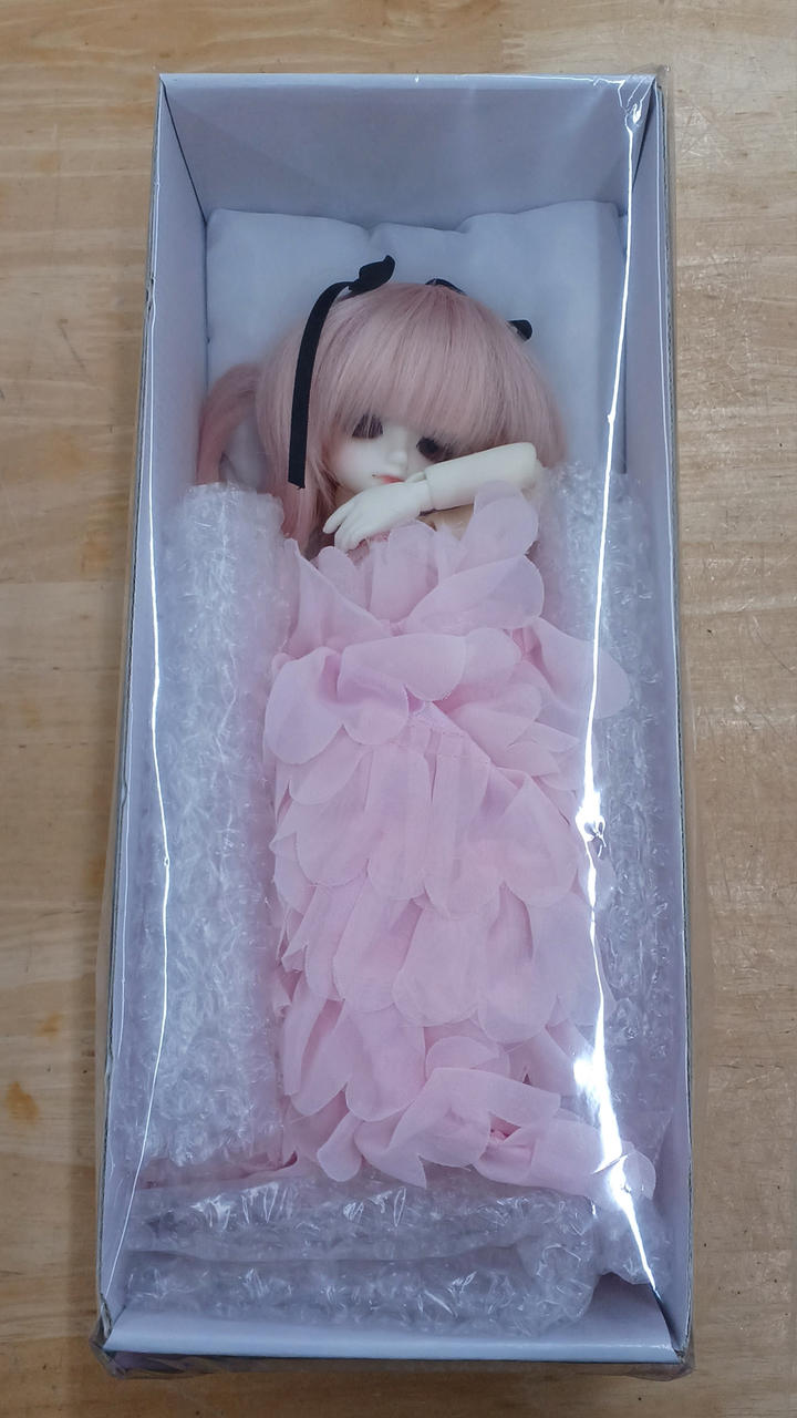 DOLL