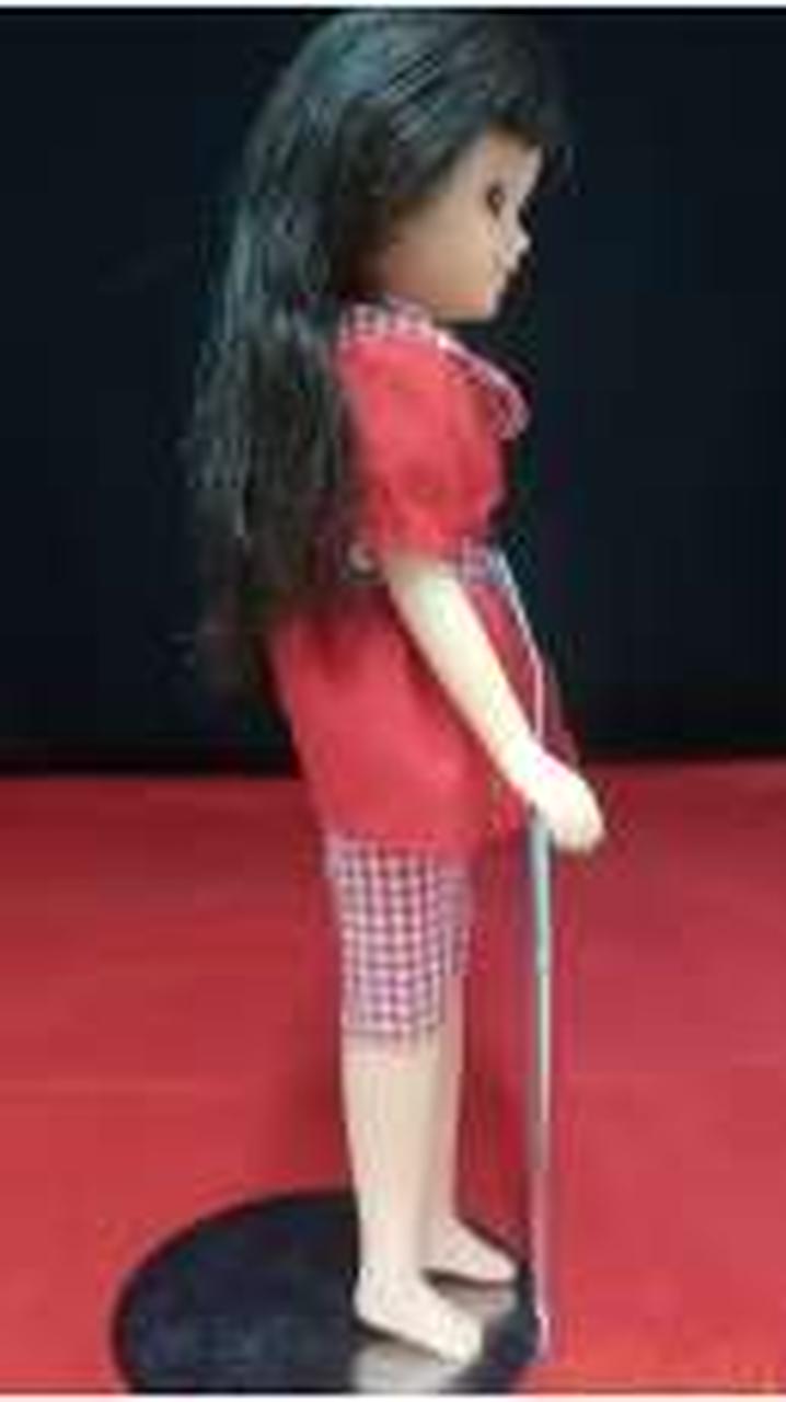 TAKARA|かぼちゃワイン エルちゃん|HARDOFFオフモール（オフモ