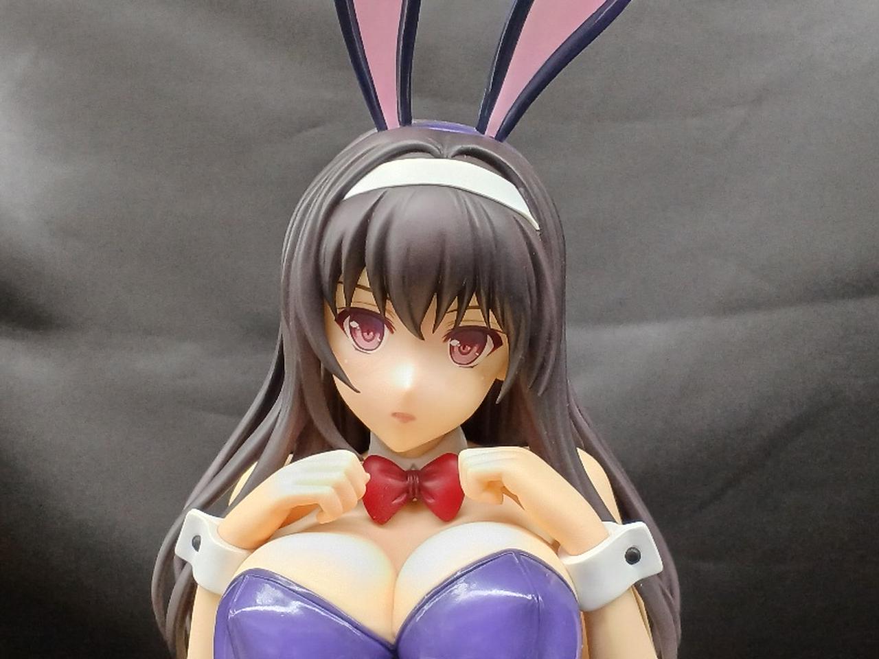 冴えない彼女の育てかた