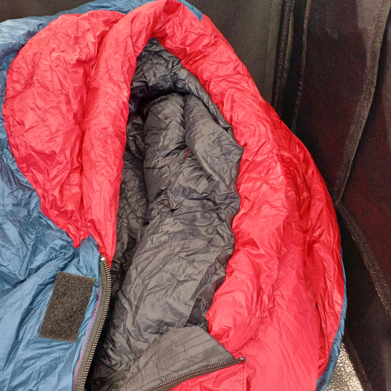 首元の目立つ汚れなし