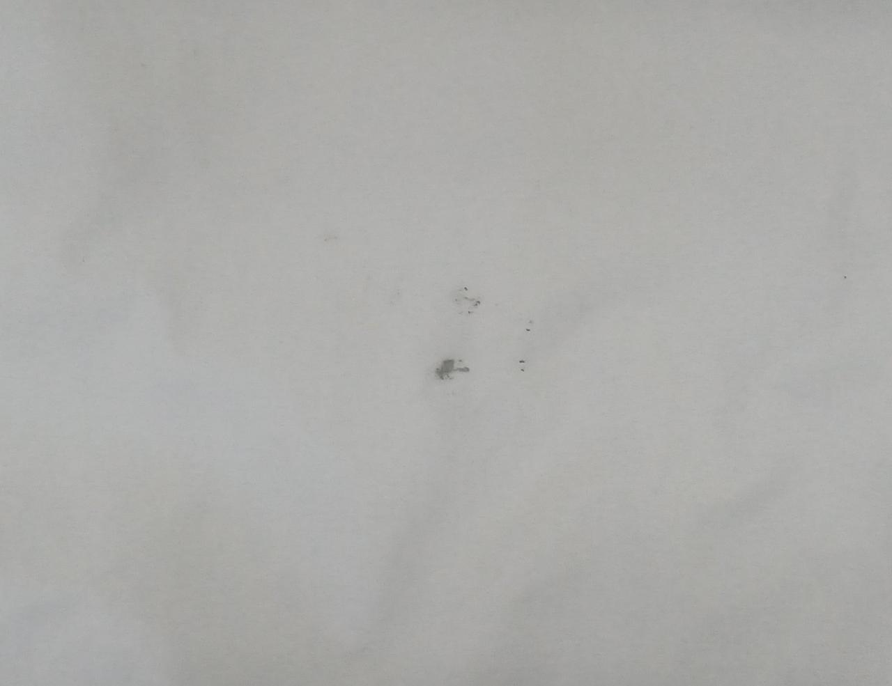 背面下部にシミ