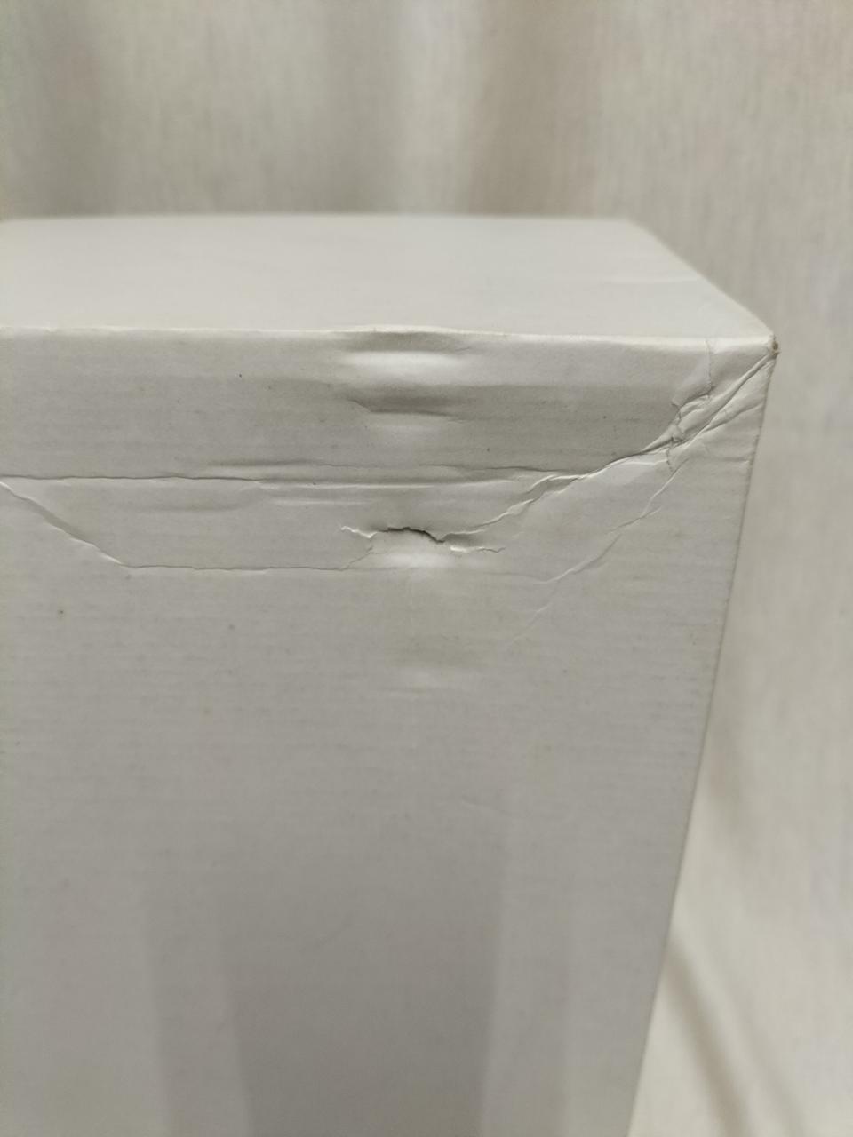 外箱にダメージ有り