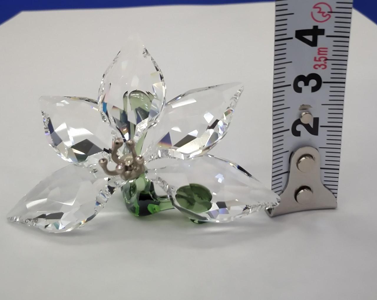 約4.5cm