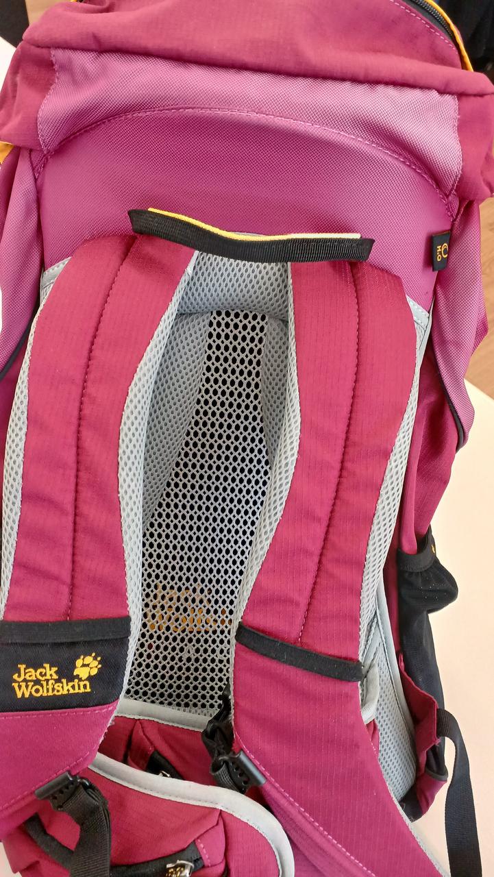 背中側上部色褪せあります。