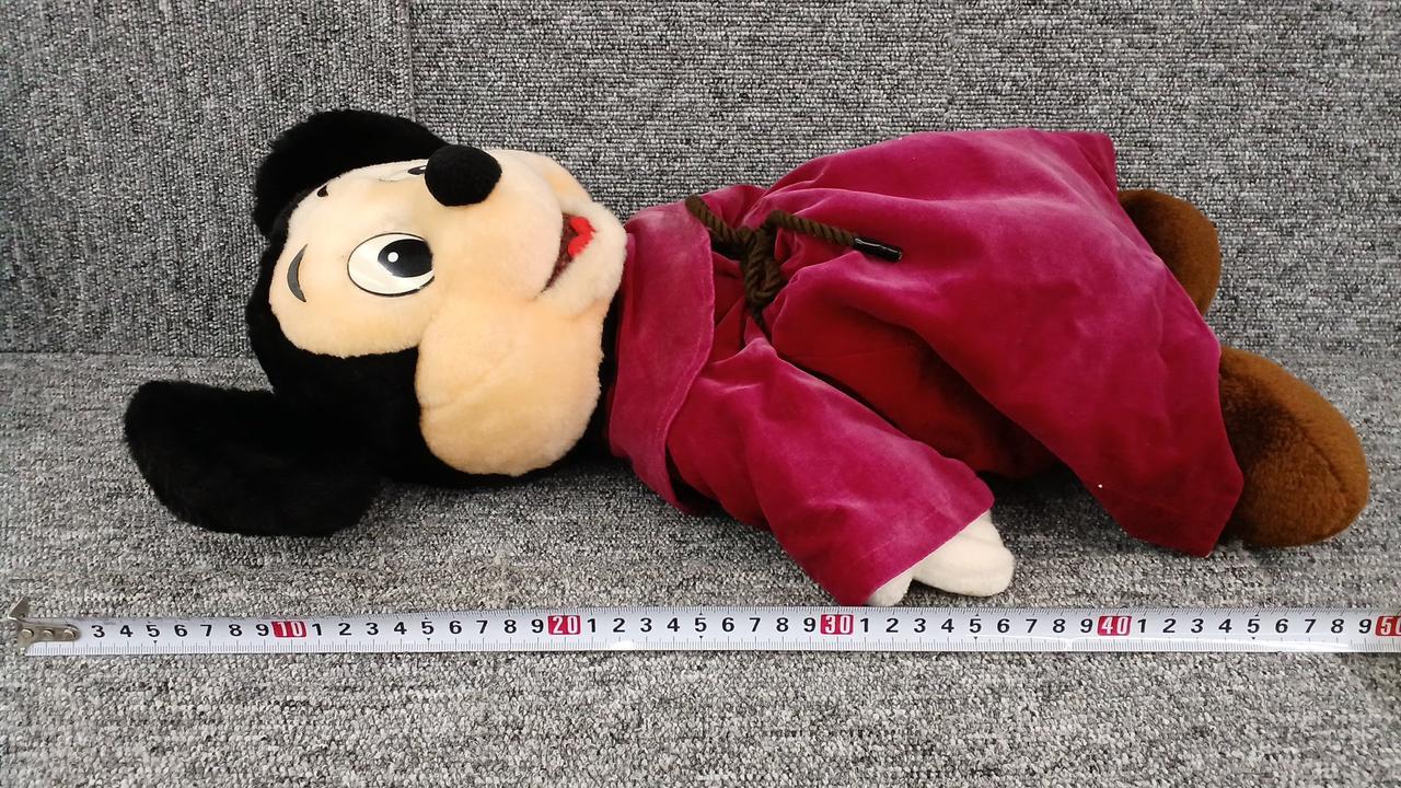 約50センチです。