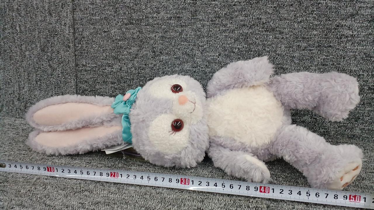 約50センチです。