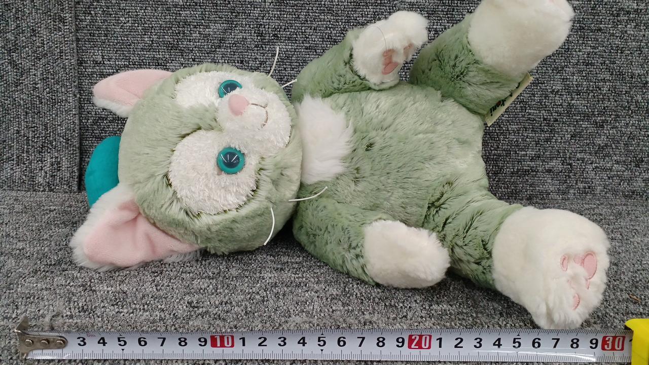 約30センチです。