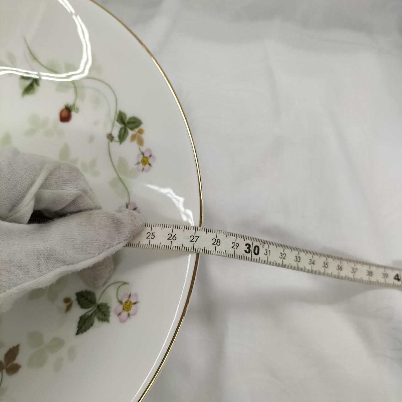 大プレートは約27cm