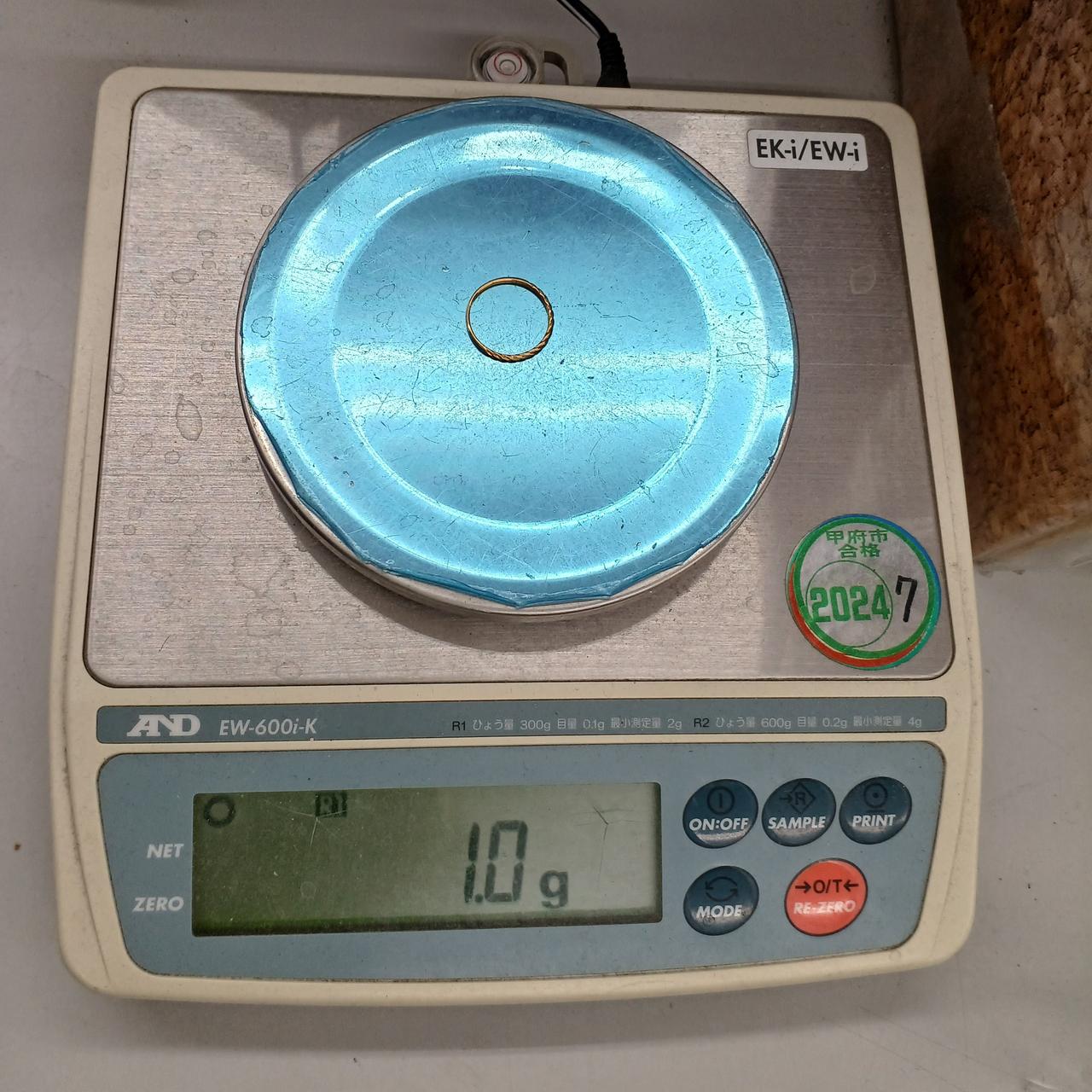 1.0g