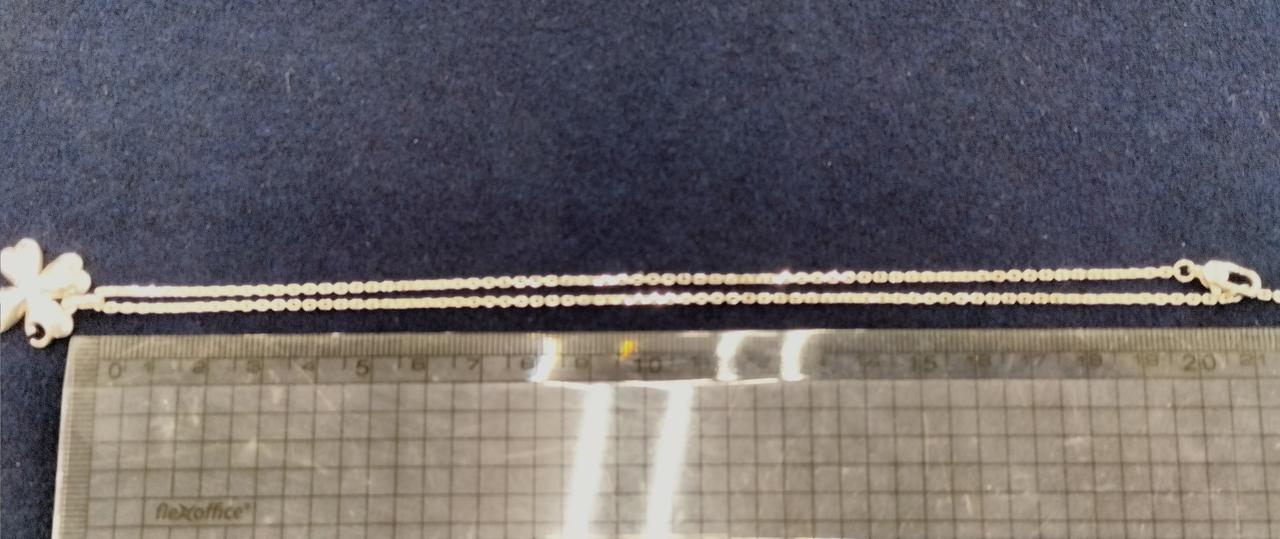 長さ約40cmほど。