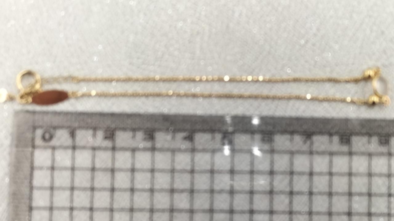 長さは18cmほど。