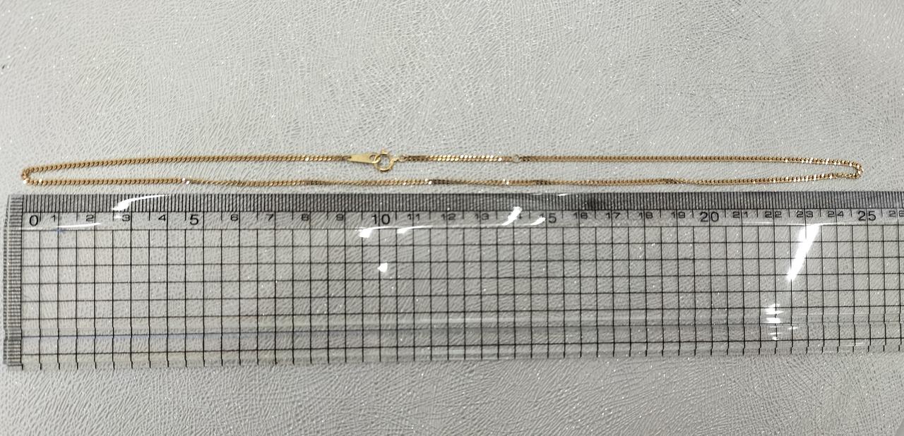長さは約50cmほど。