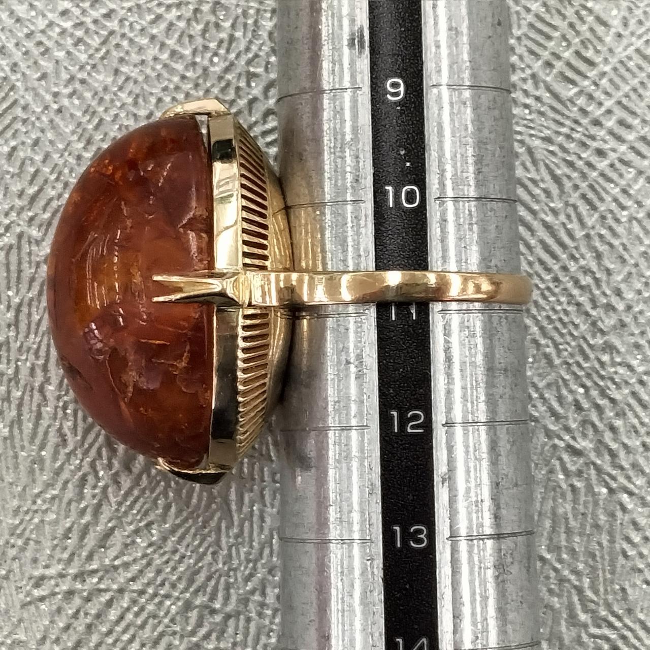 サイズは約11号。