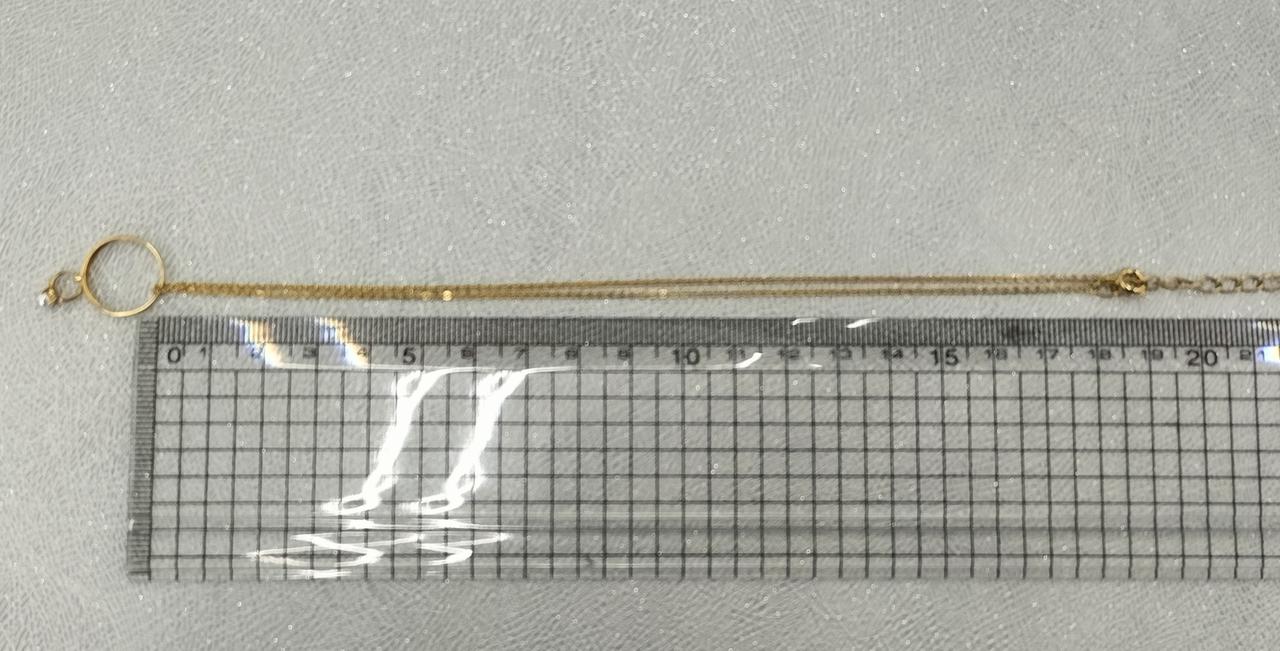 長さは40cmほど。