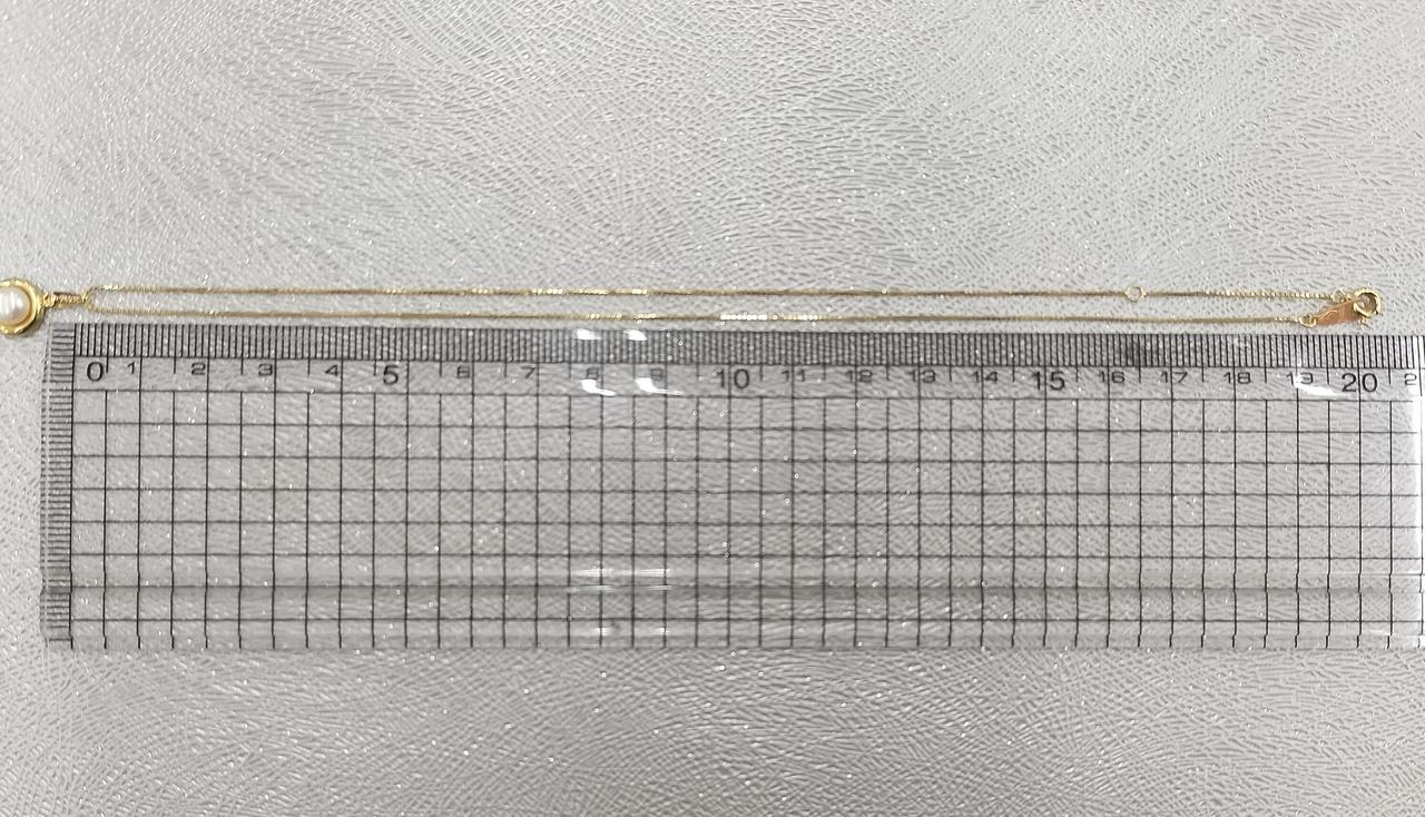 長さは40cmほど。