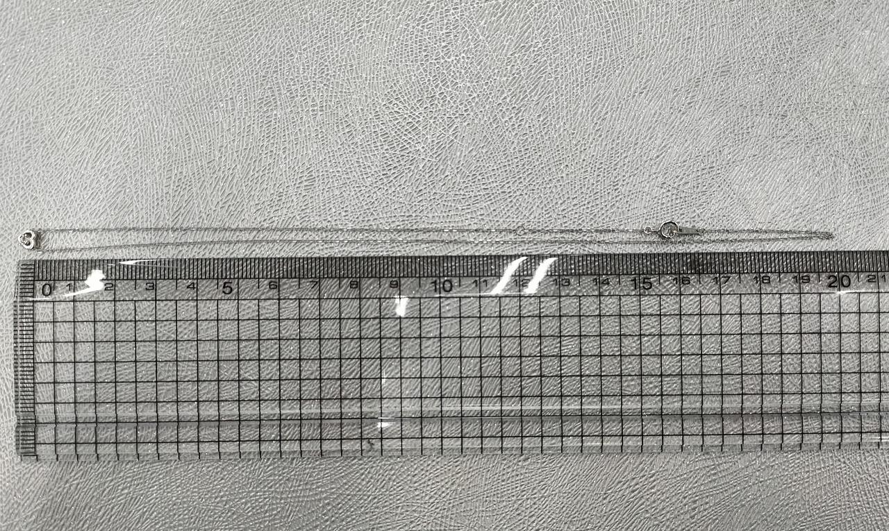 長さは40cmほど。