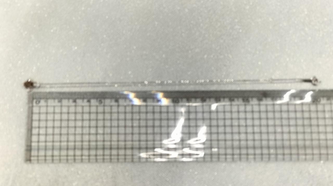 長さは40cmほど。