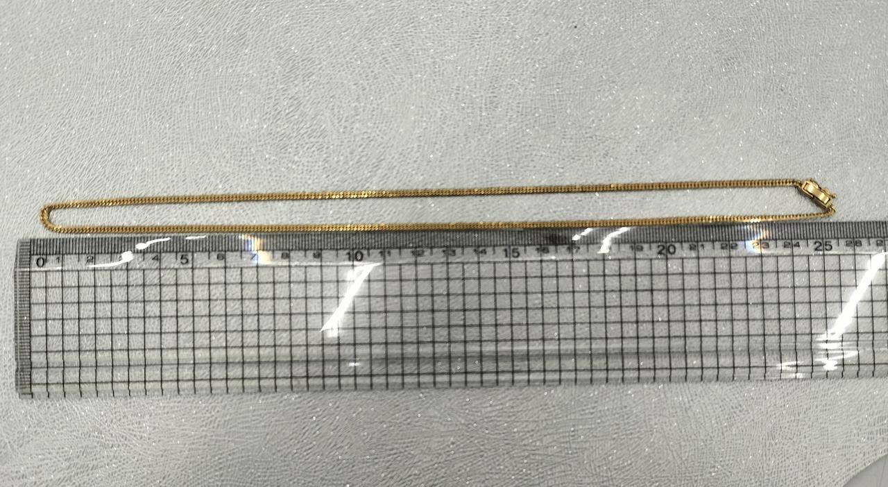 長さ約50cm。