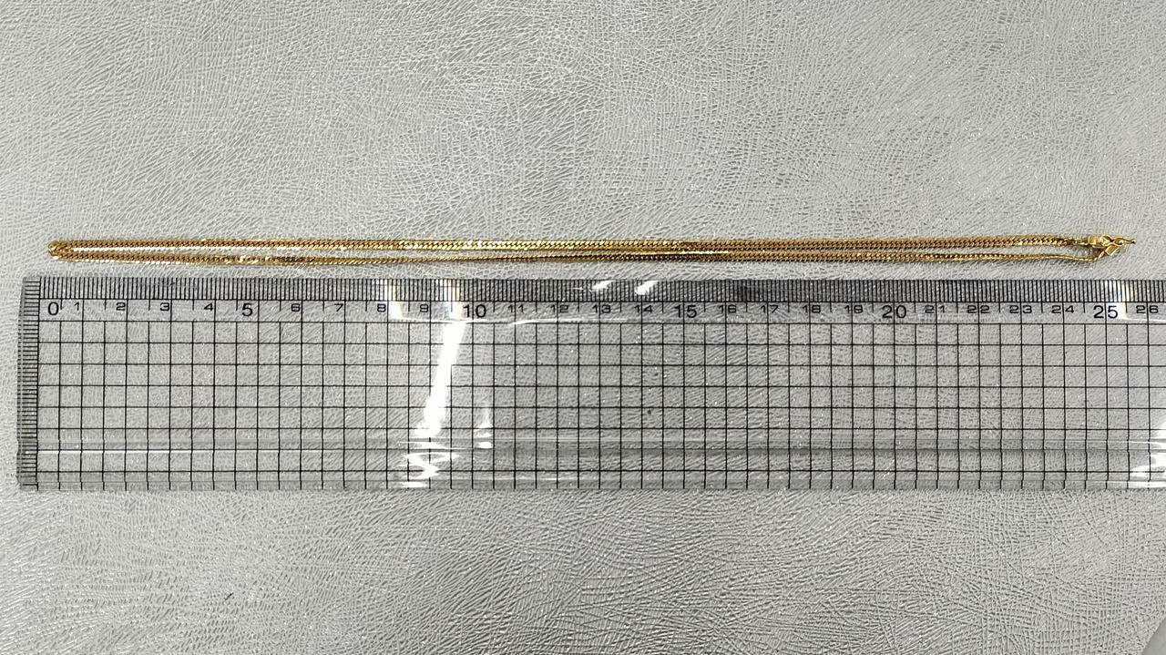 長さ約50cm。