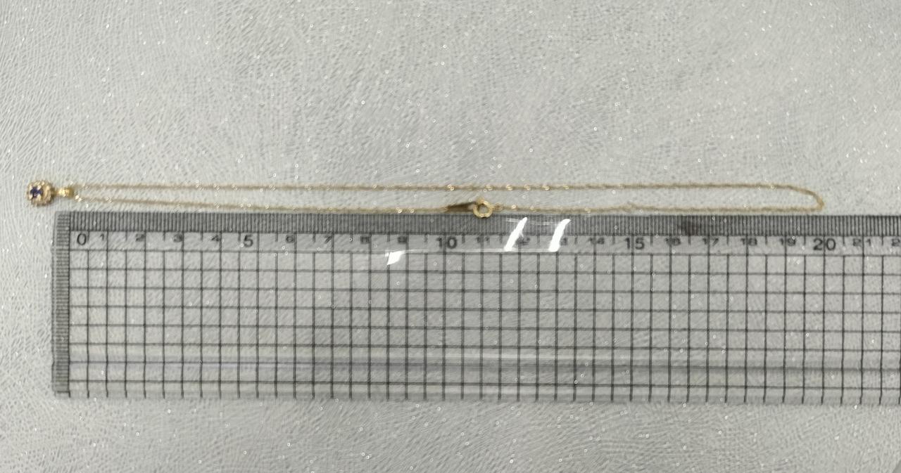 長さは40cmほど。