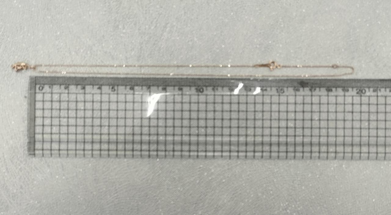 長さ約38cm。