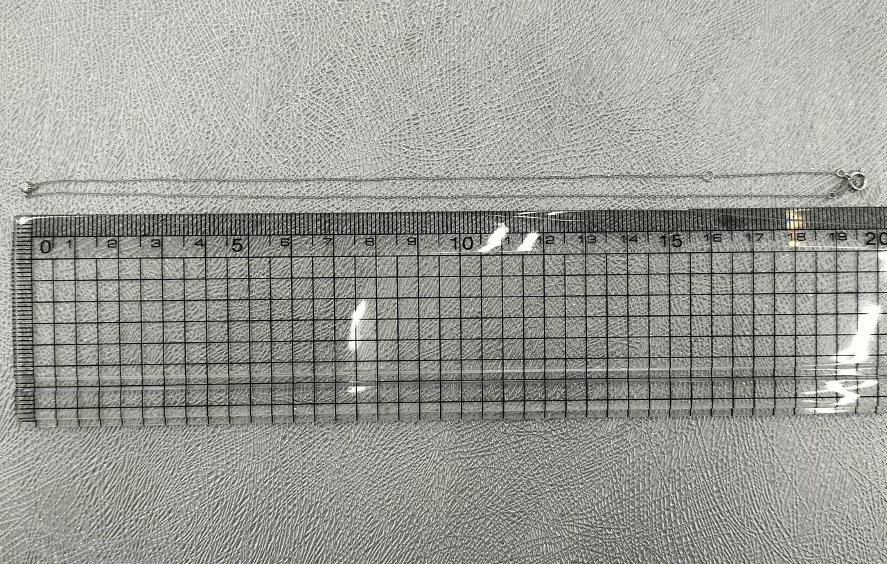 長さ約38cm。