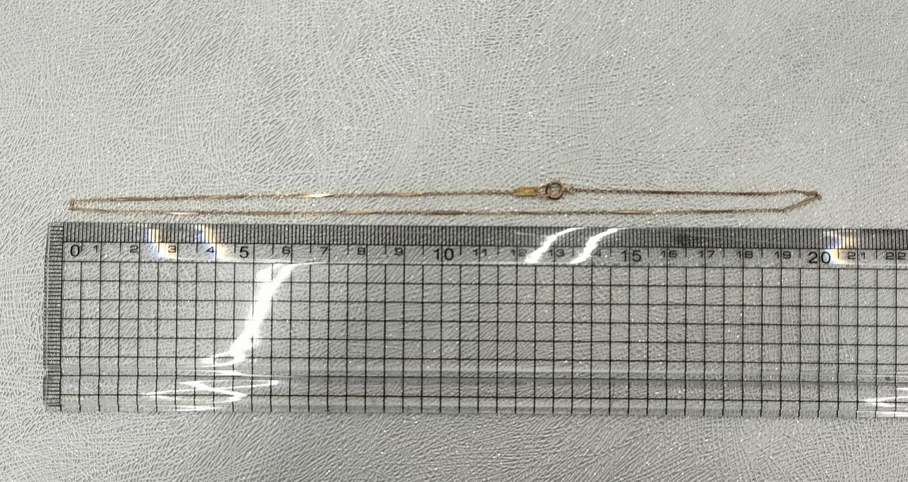 長さ40cmほど。