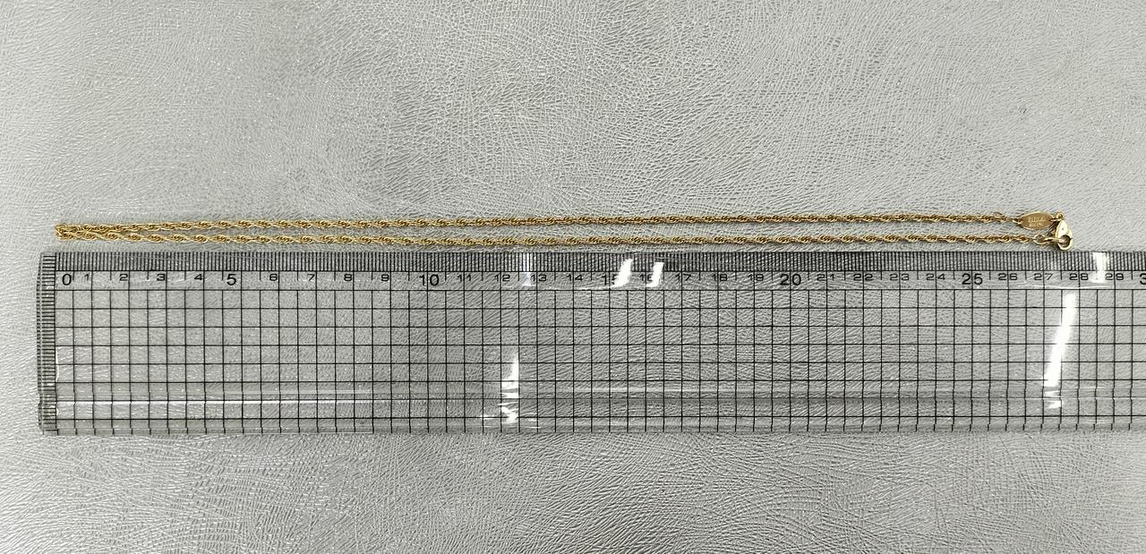 長さ約55cm。