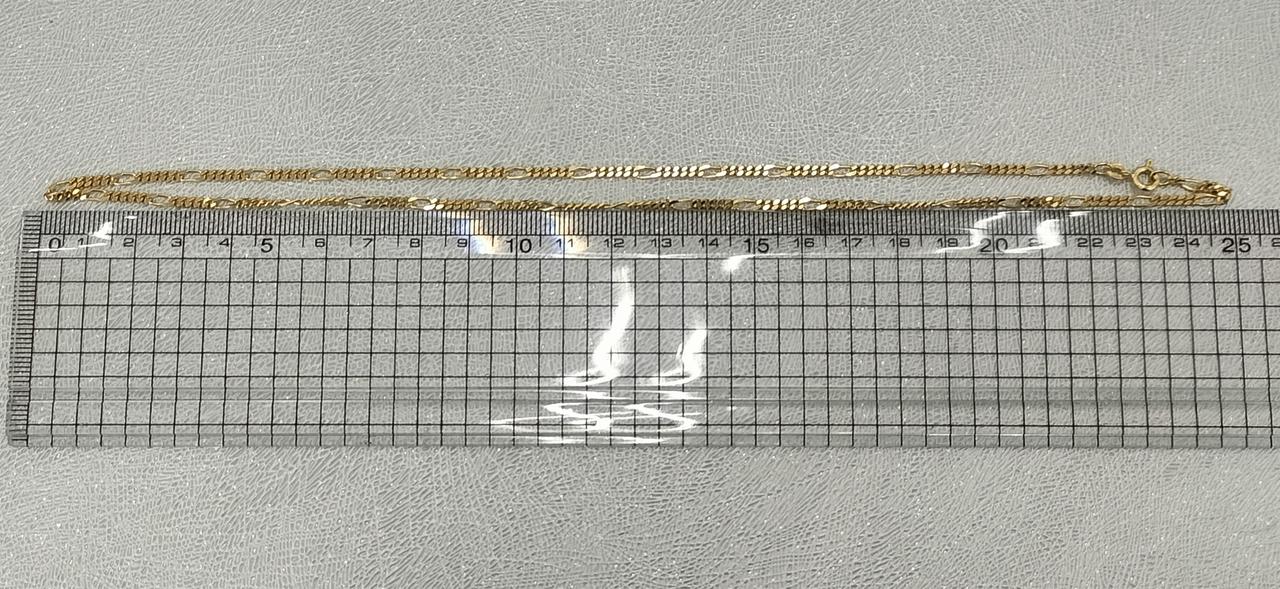 長さ約50cm。