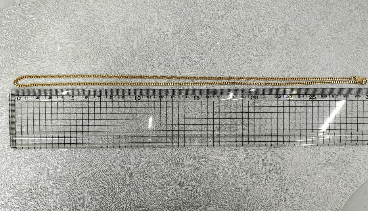 長さ約60cm。