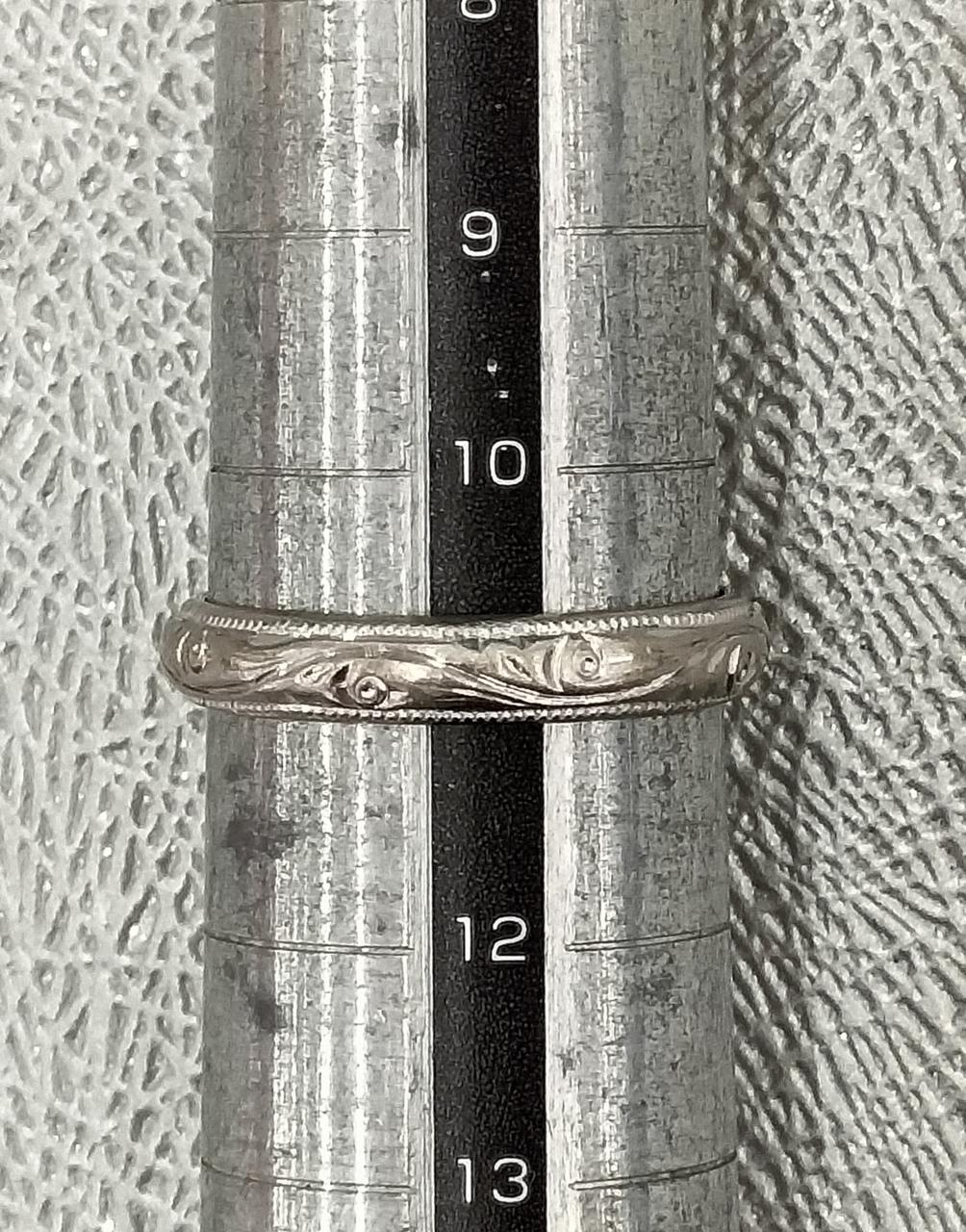 サイズは約11号。