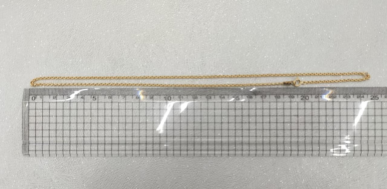 長さ約50cm。