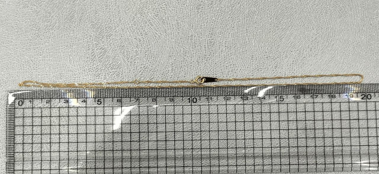 長さは40cmほど。
