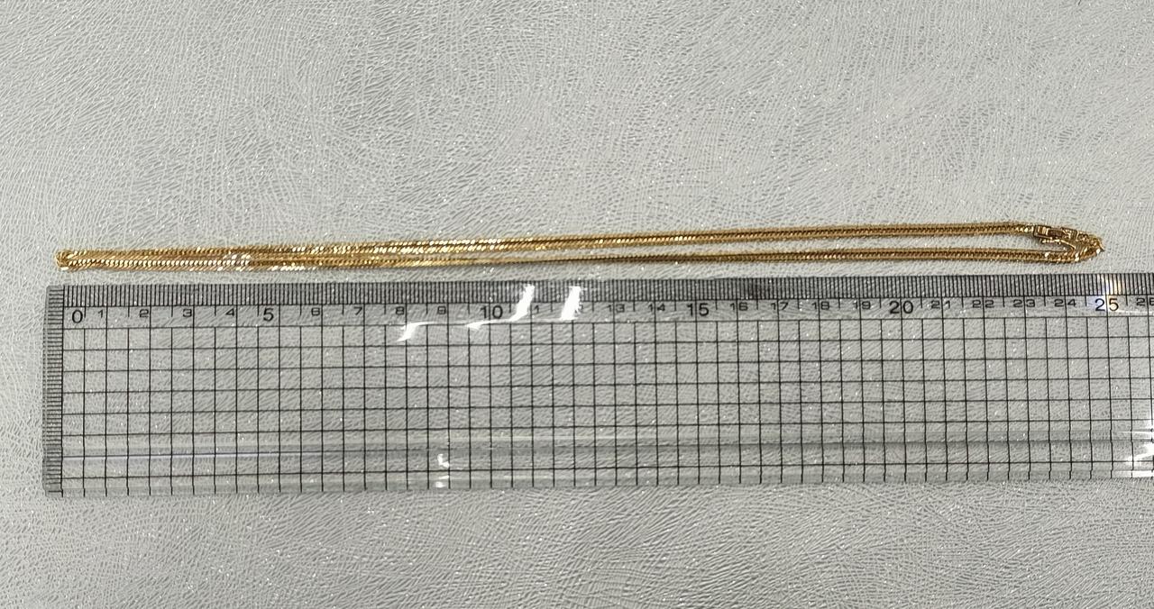 長さ約50cm。
