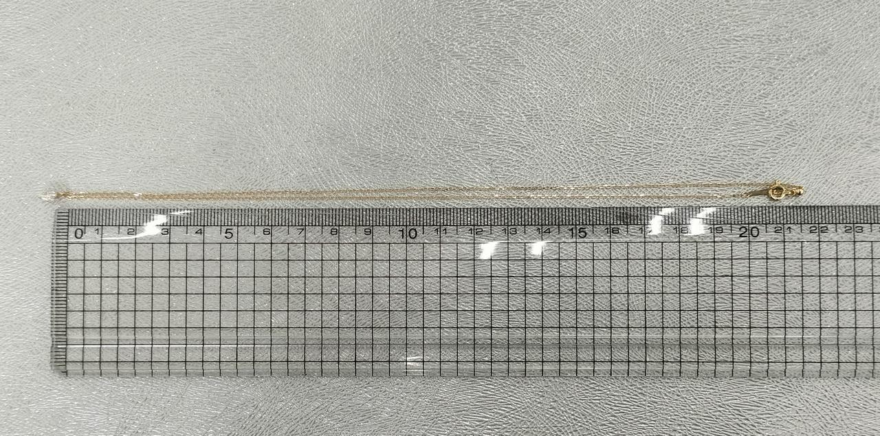 長さ約42cm。
