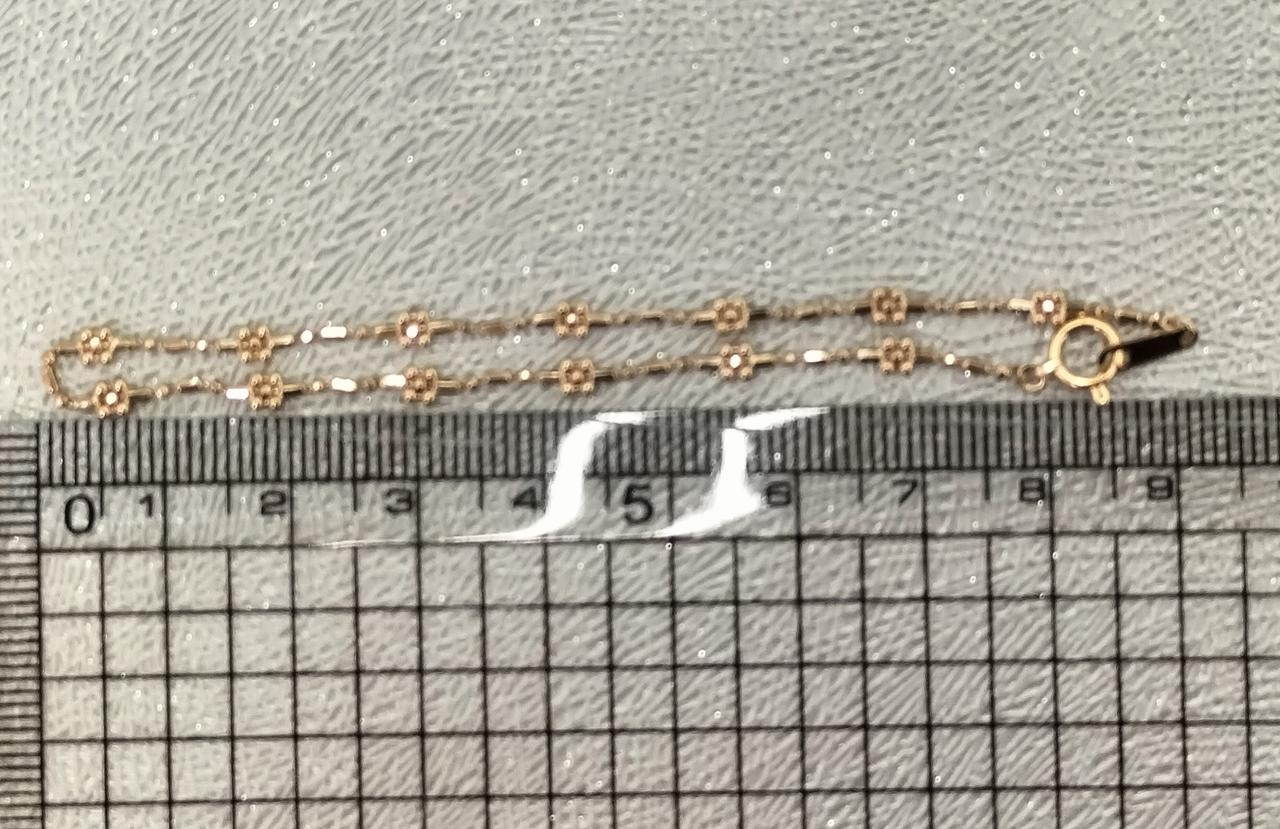 長さは18cmほど。
