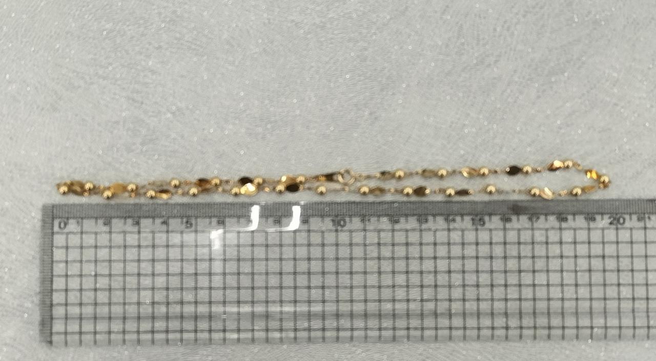 長さ約40cm。