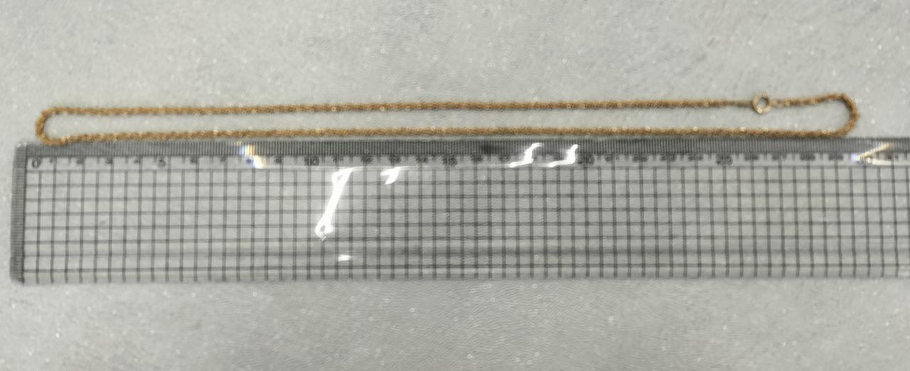 長さ約60cm。
