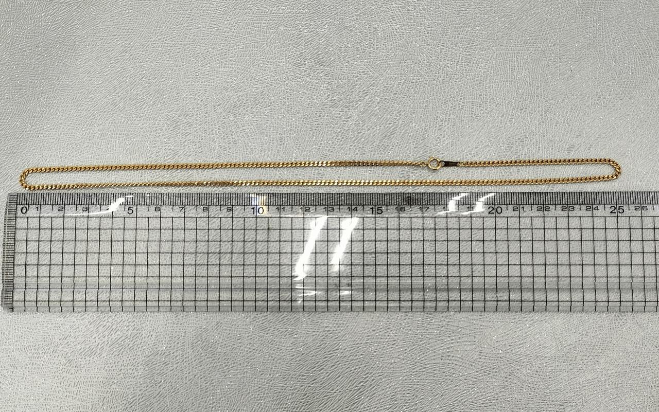 長さ約50cm。